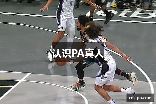 认识PA真人